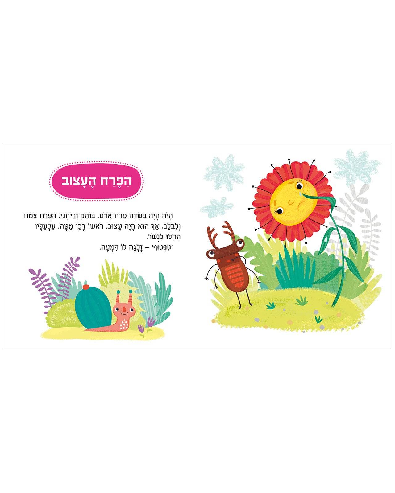 תמונת מוצר 5