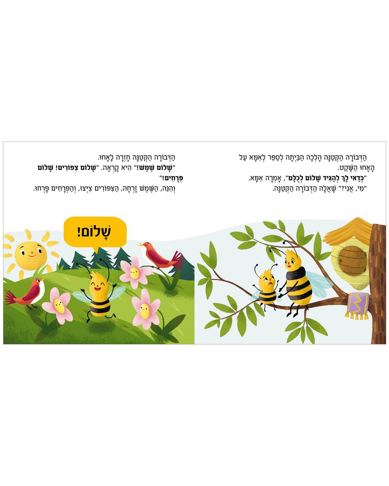 תמונת מוצר 4