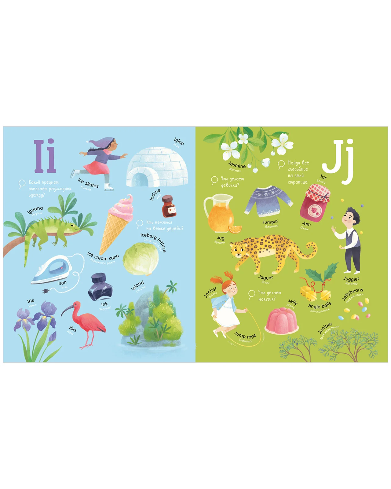 תמונת מוצר 10