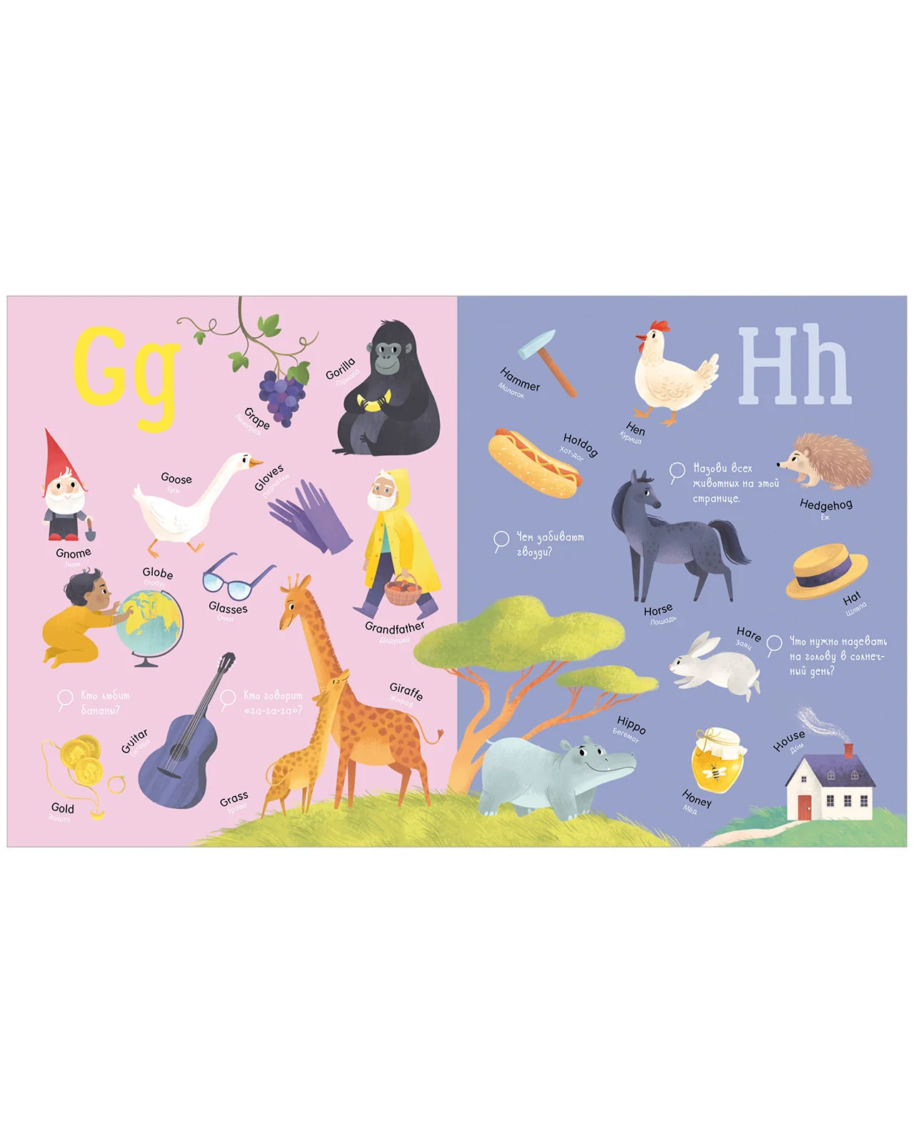 תמונת מוצר 15