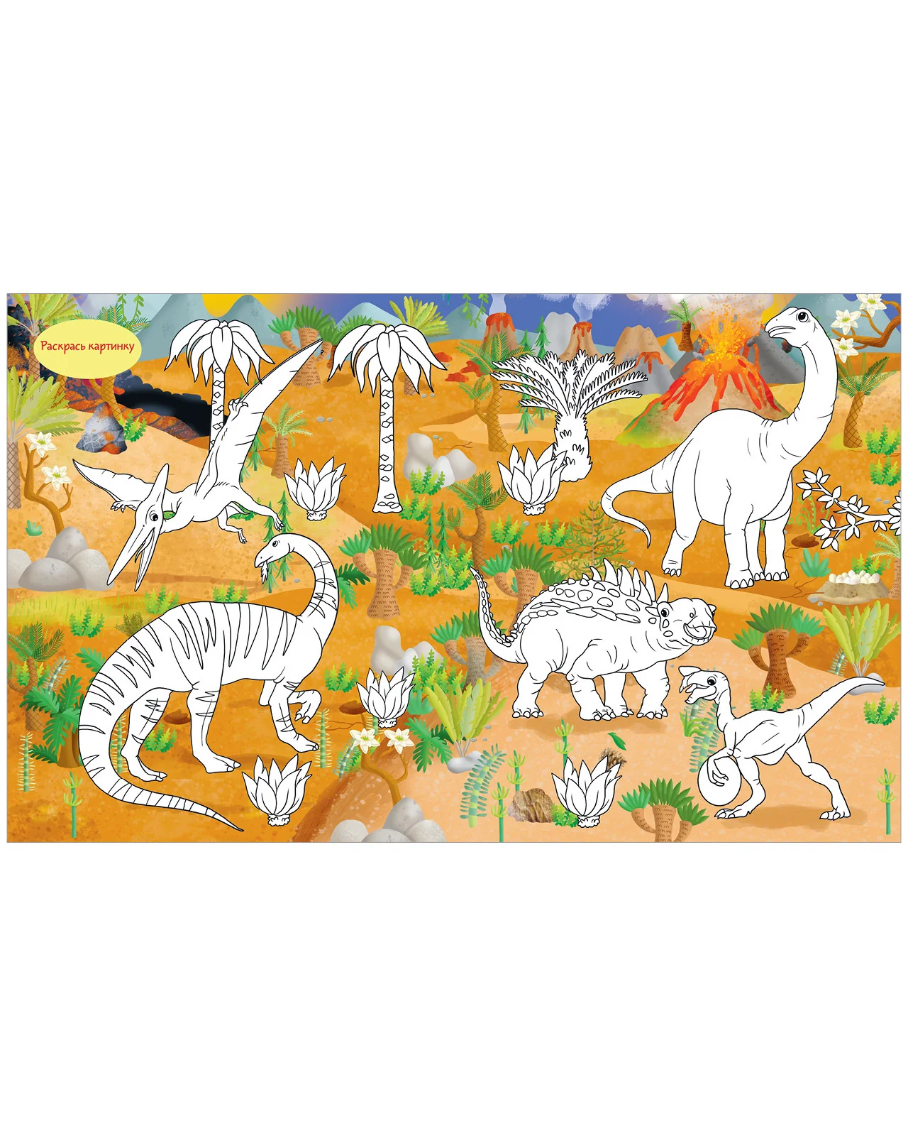 תמונת מוצר 13