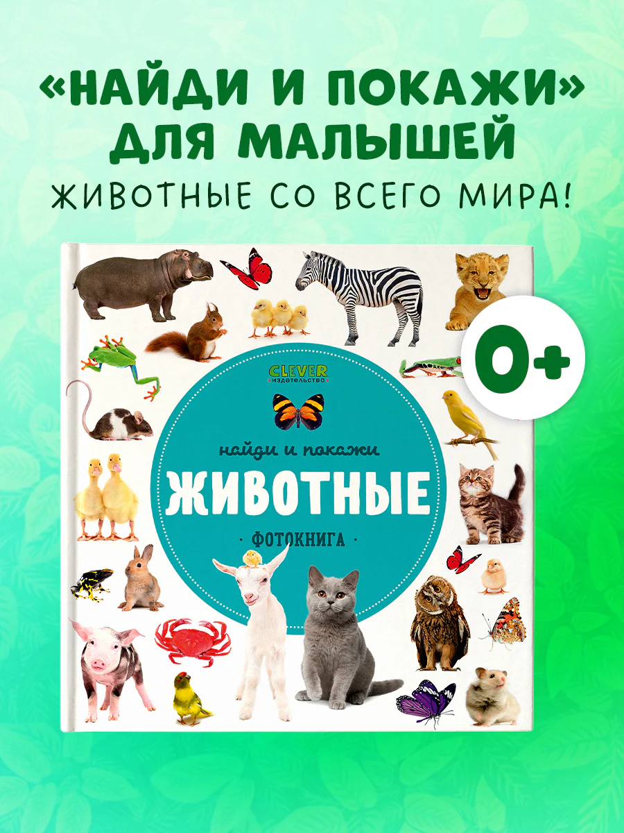 תמונה ממוזערת 1