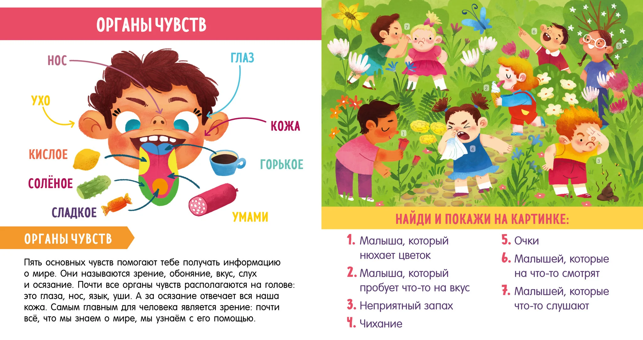 תמונת מוצר 12