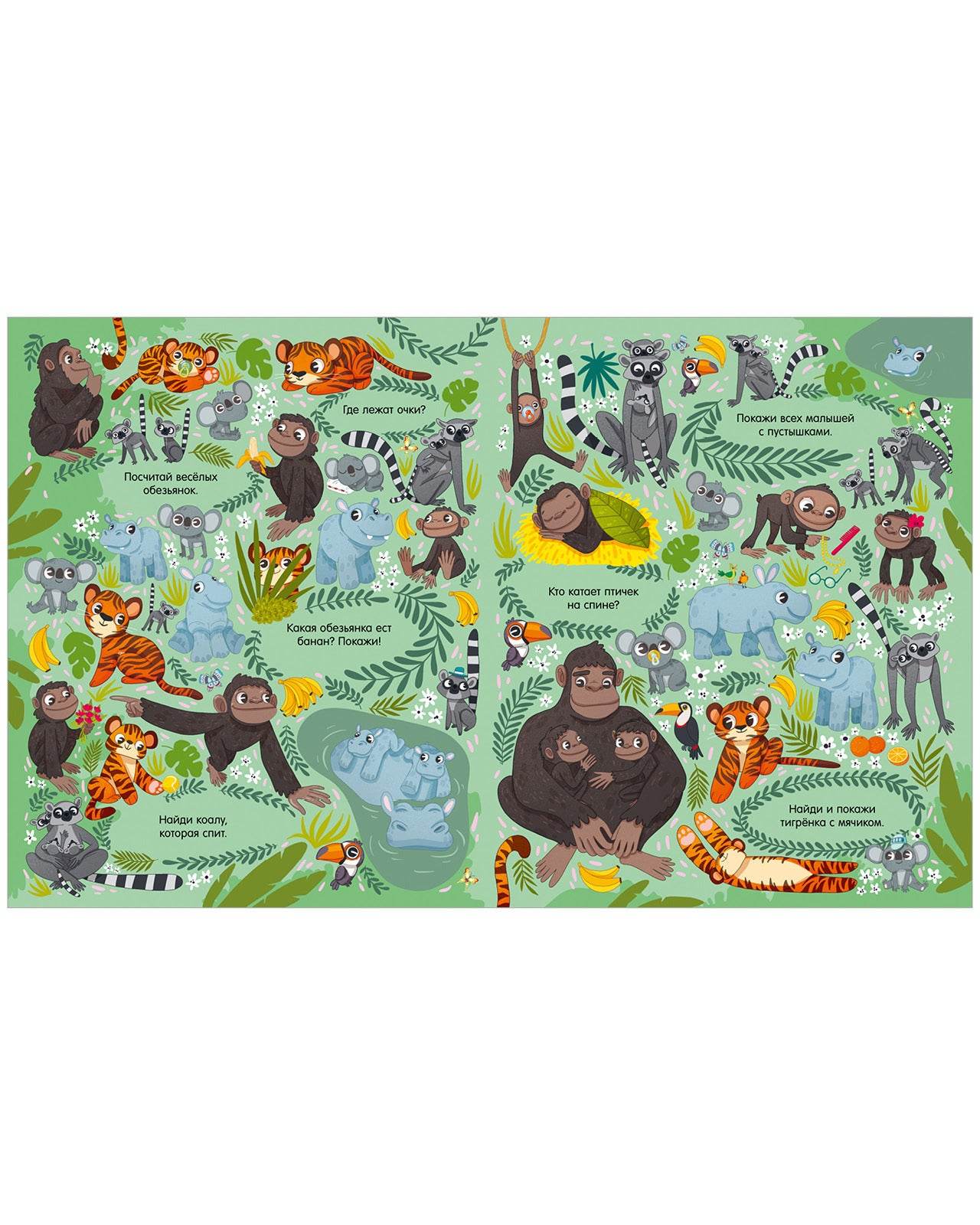 תמונת מוצר 4