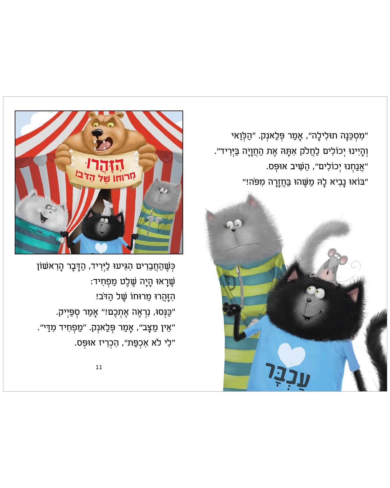תמונת מוצר 5