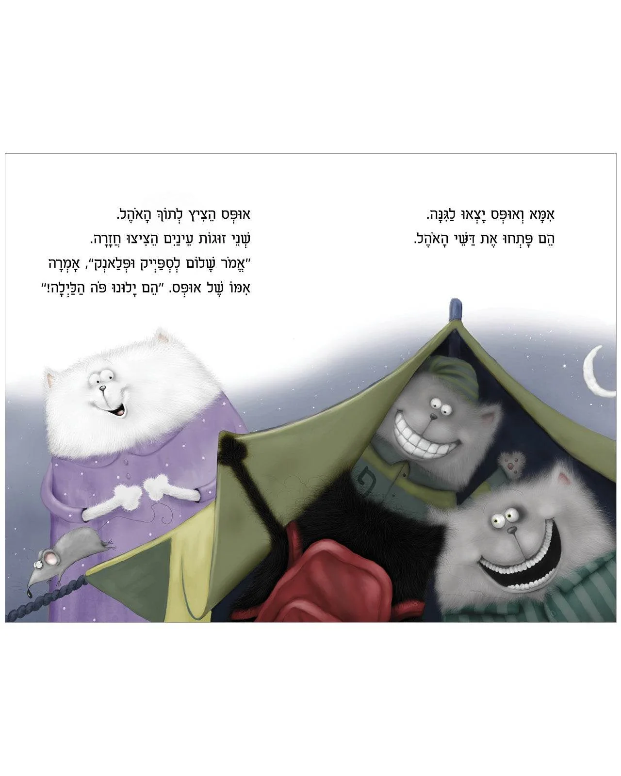 תמונת מוצר 4