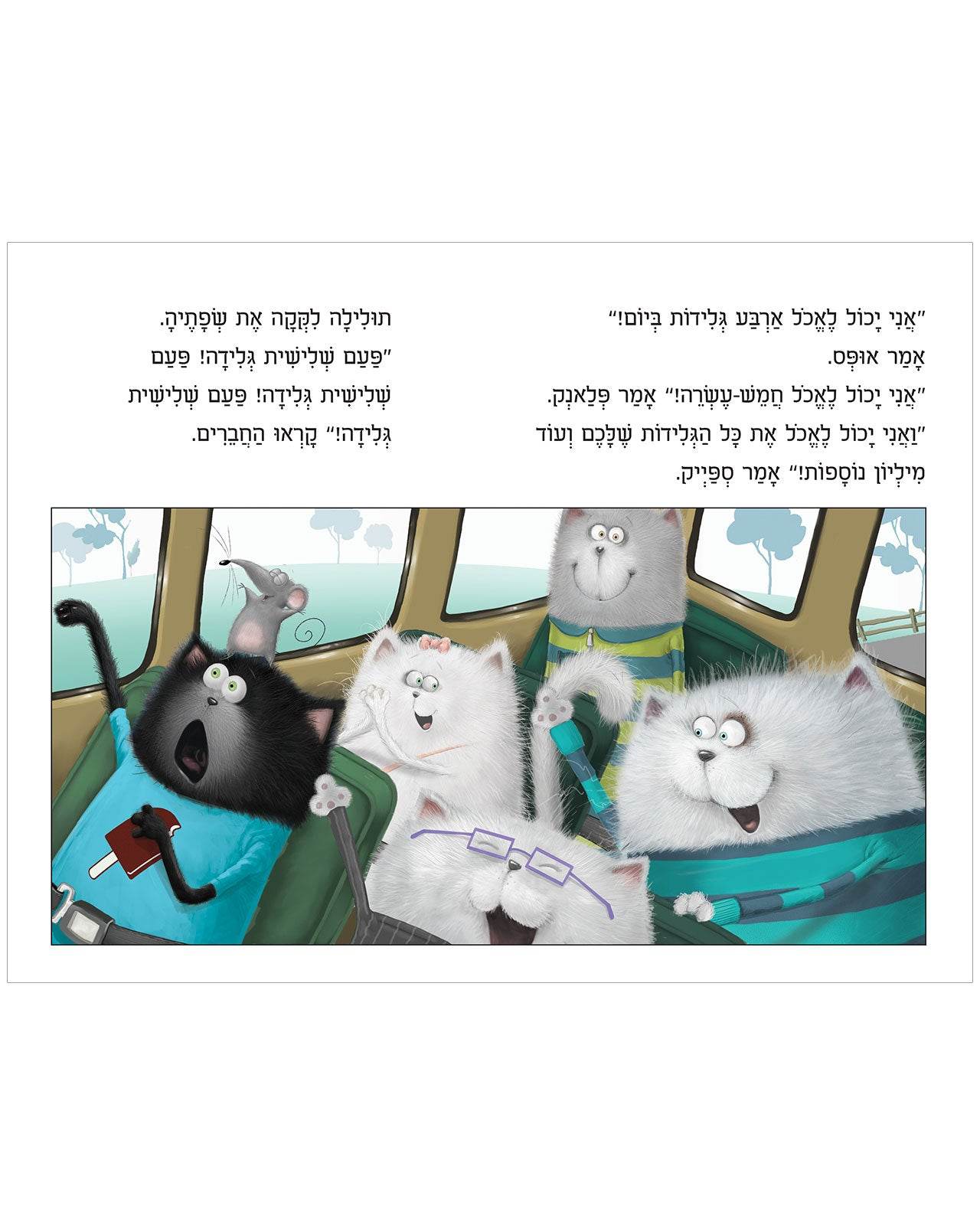תמונת מוצר 4