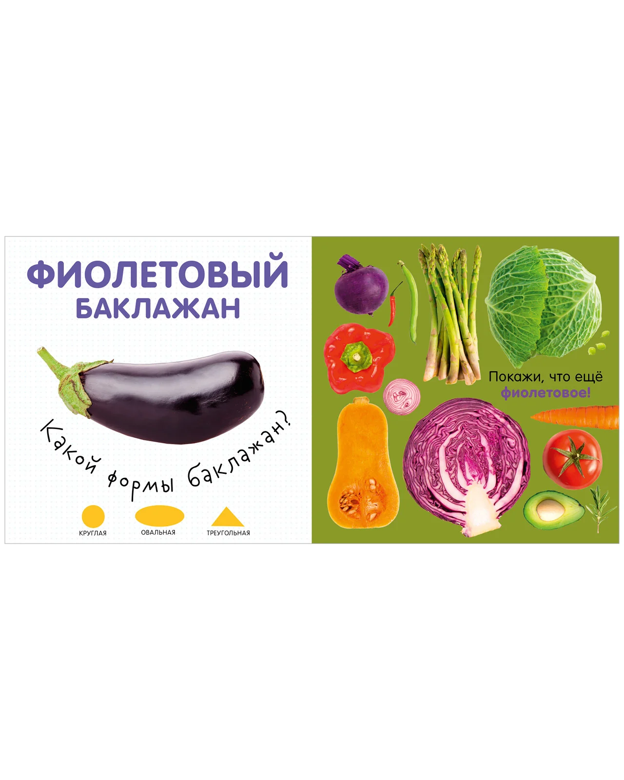 תמונת מוצר 24
