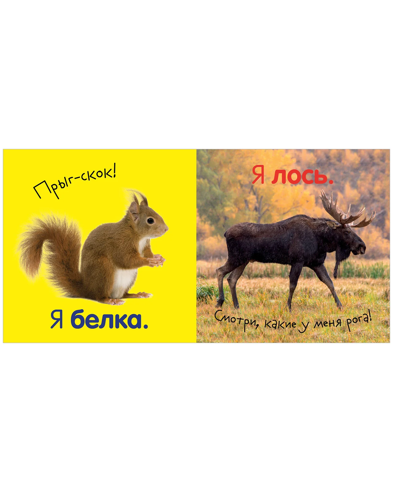 תמונת מוצר 14