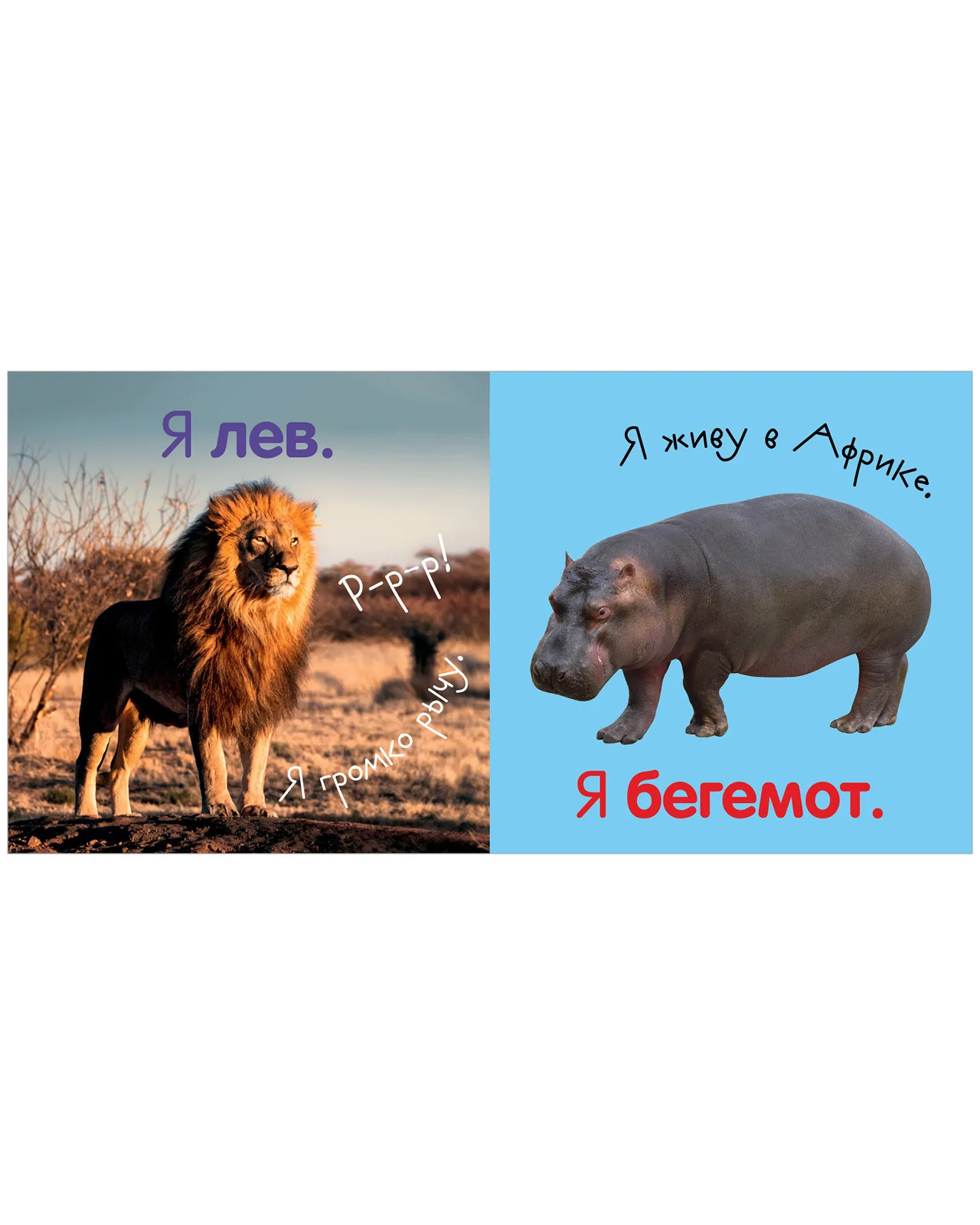 תמונת מוצר 23