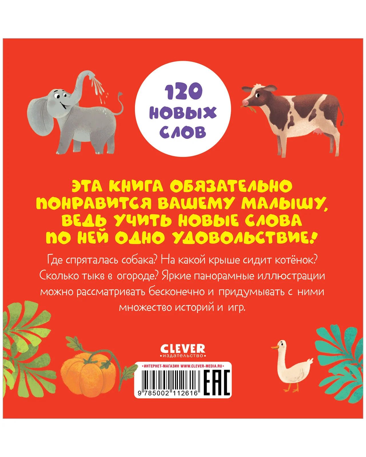 תמונת מוצר 18