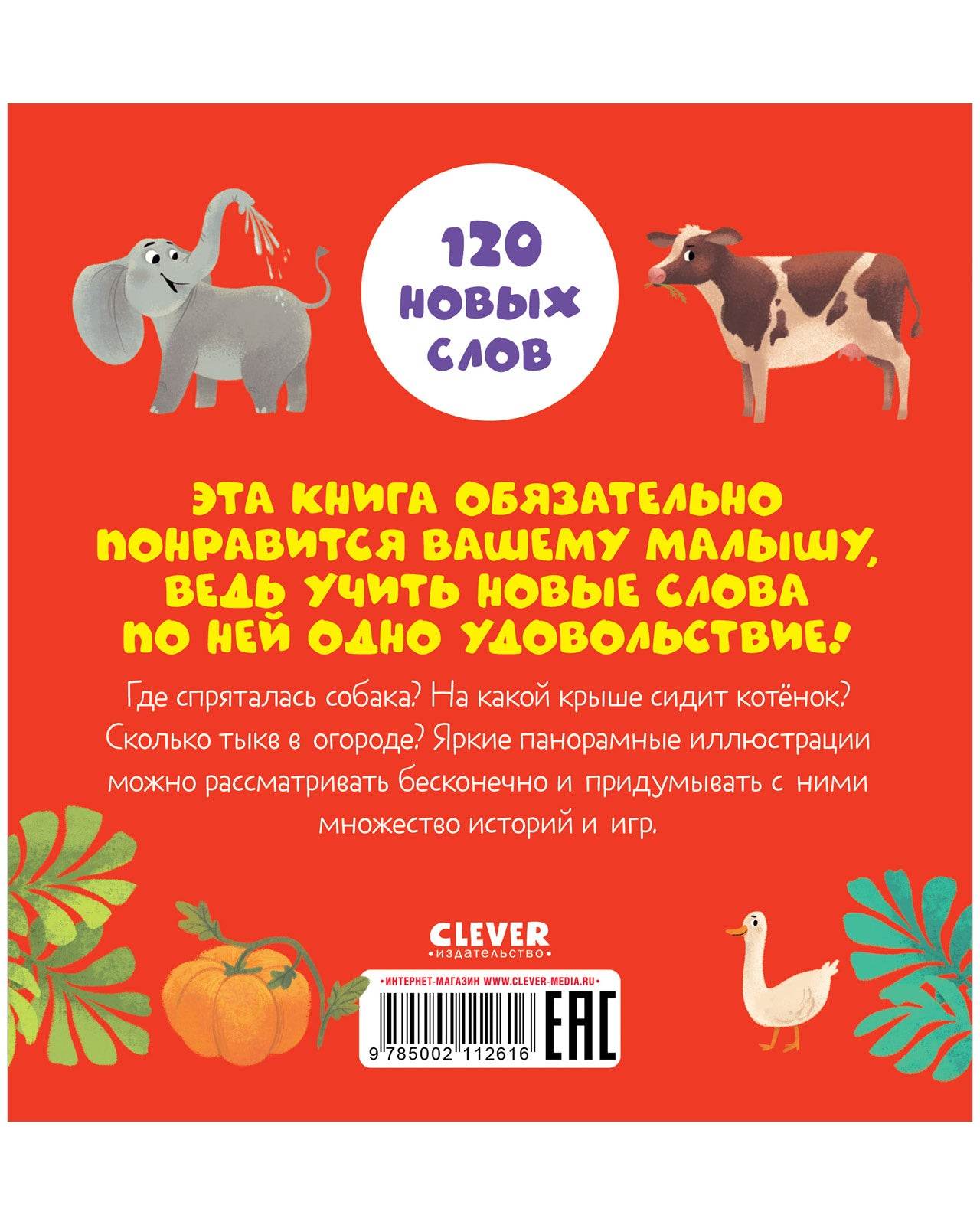 תמונת מוצר 9