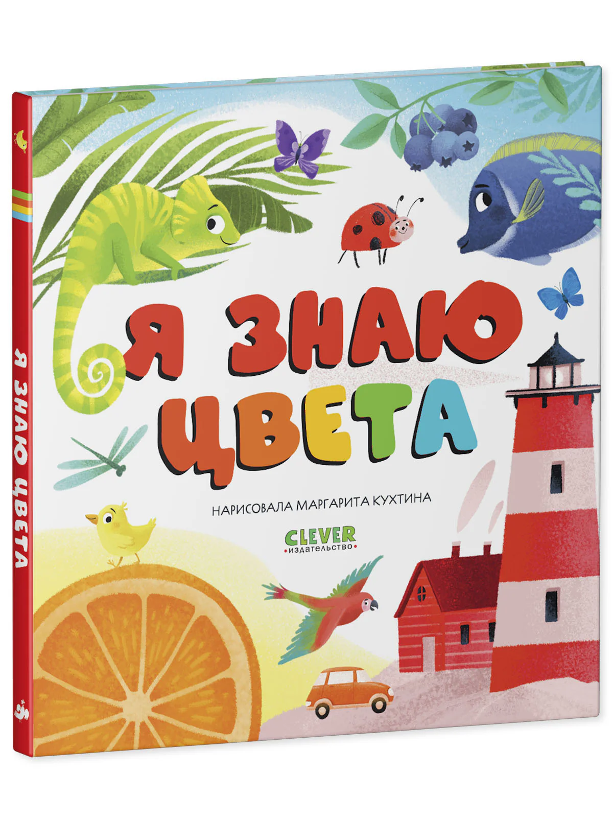 תמונת מוצר 11