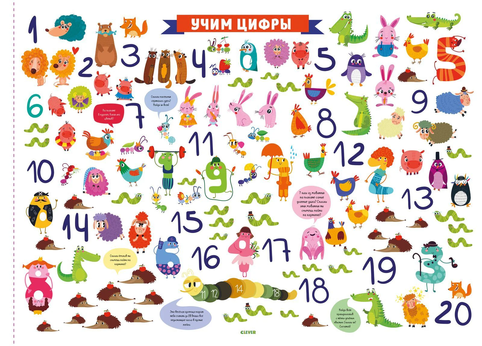 תמונת מוצר 12