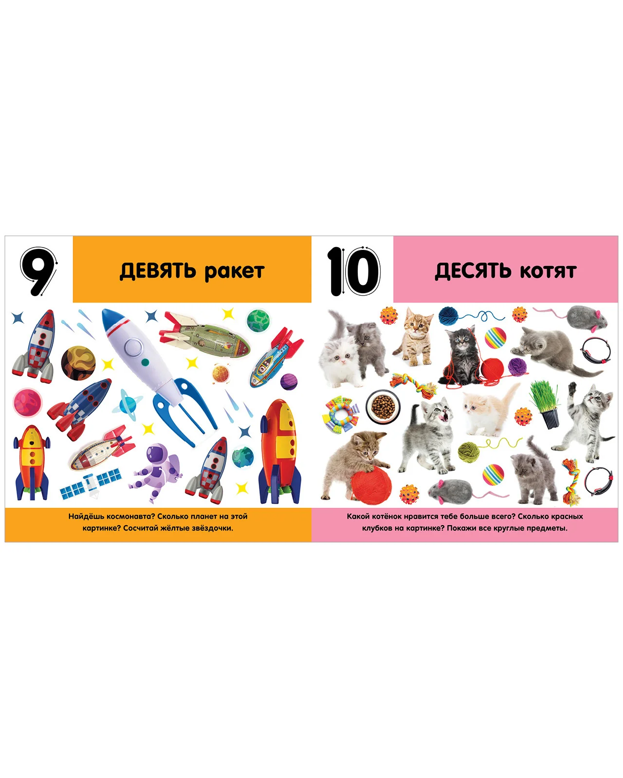 תמונת מוצר 7