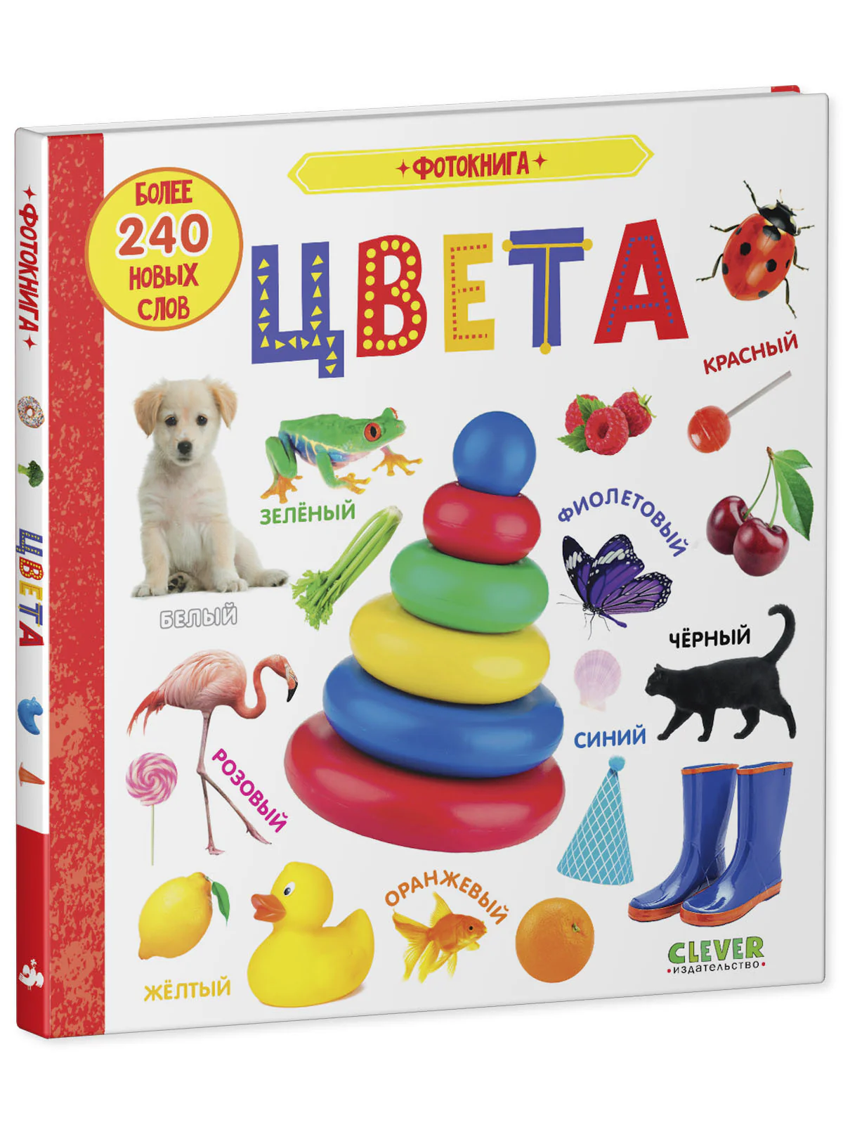 תמונת מוצר 11