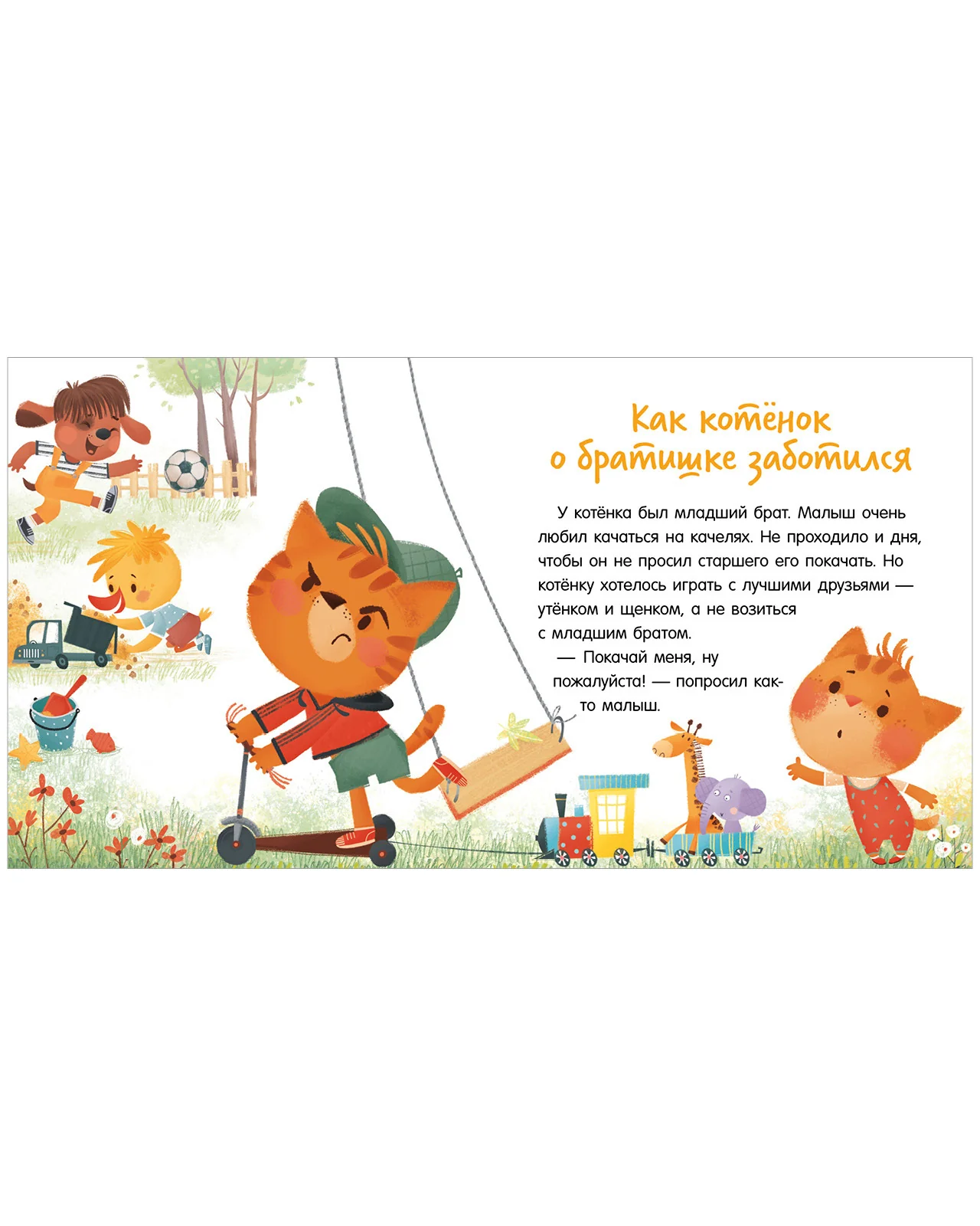תמונת מוצר 15