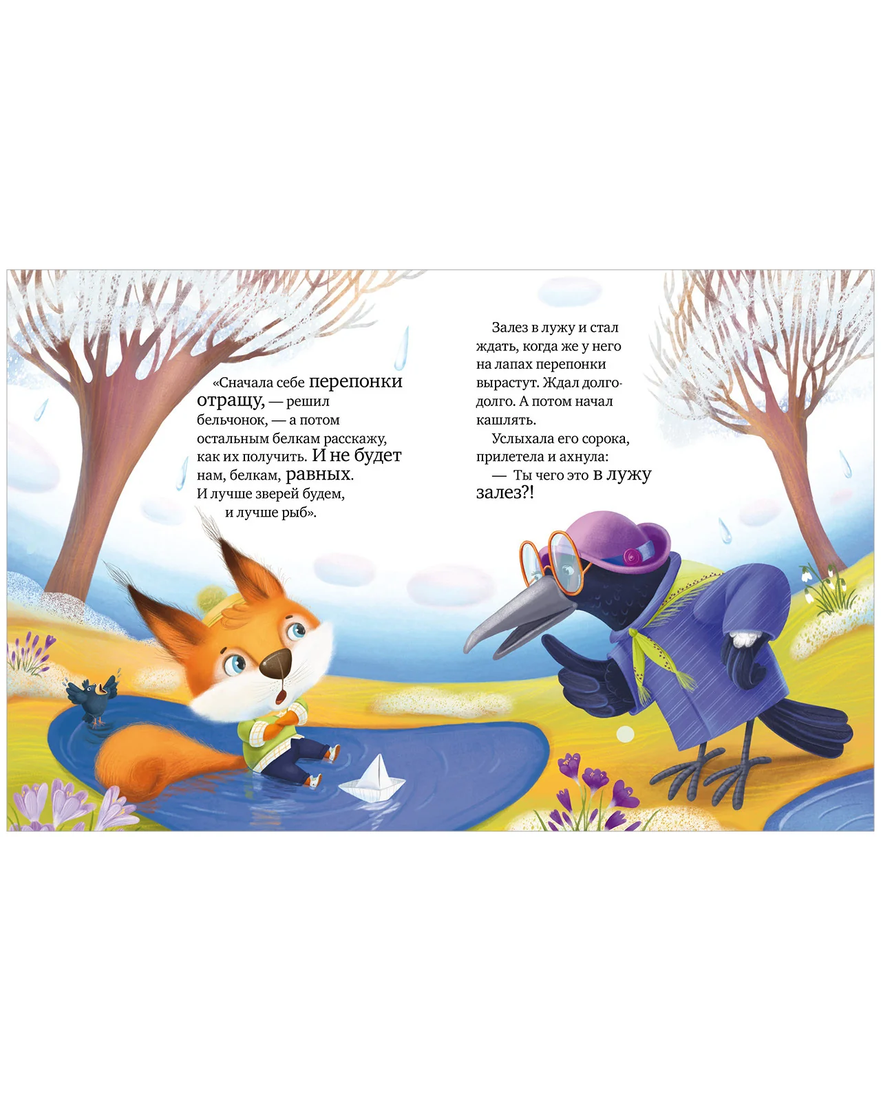 תמונת מוצר 15
