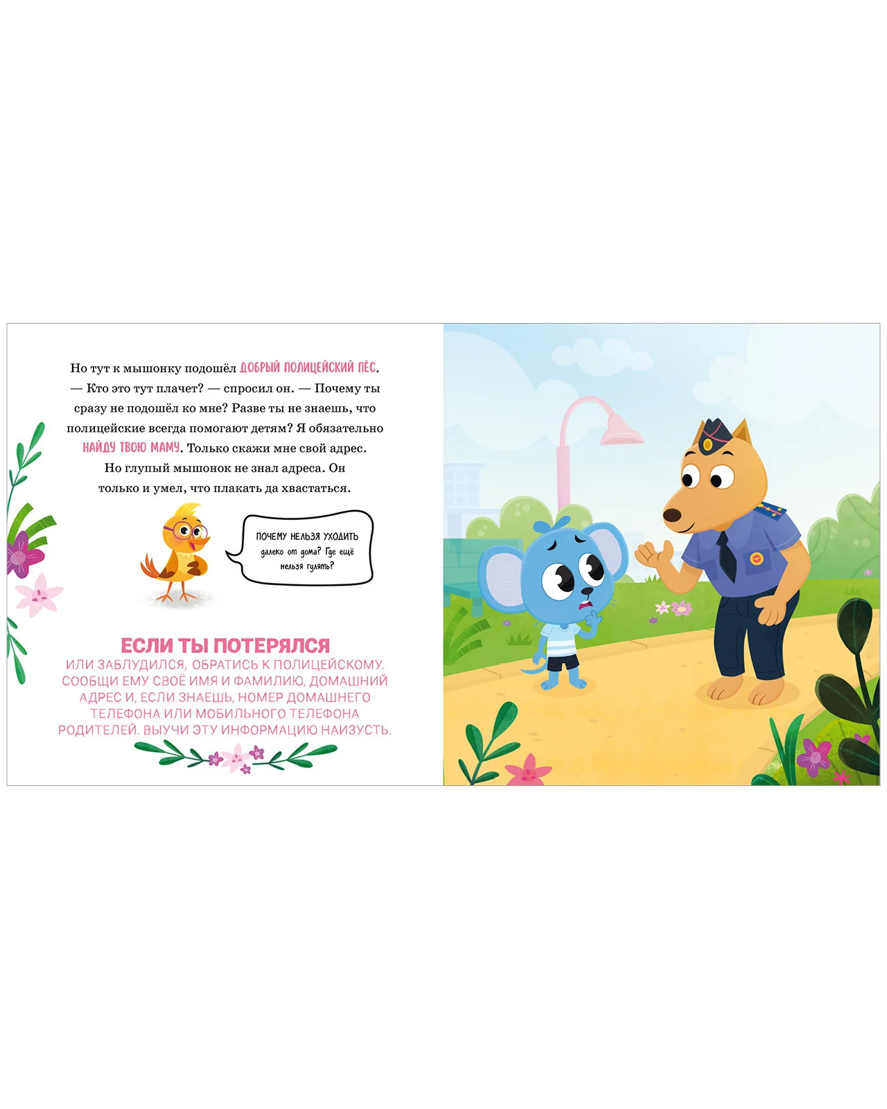 תמונת מוצר 15