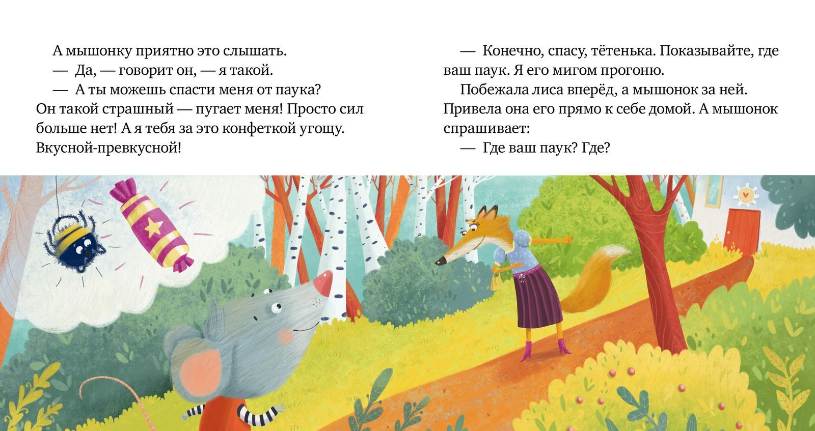 תמונת מוצר 16