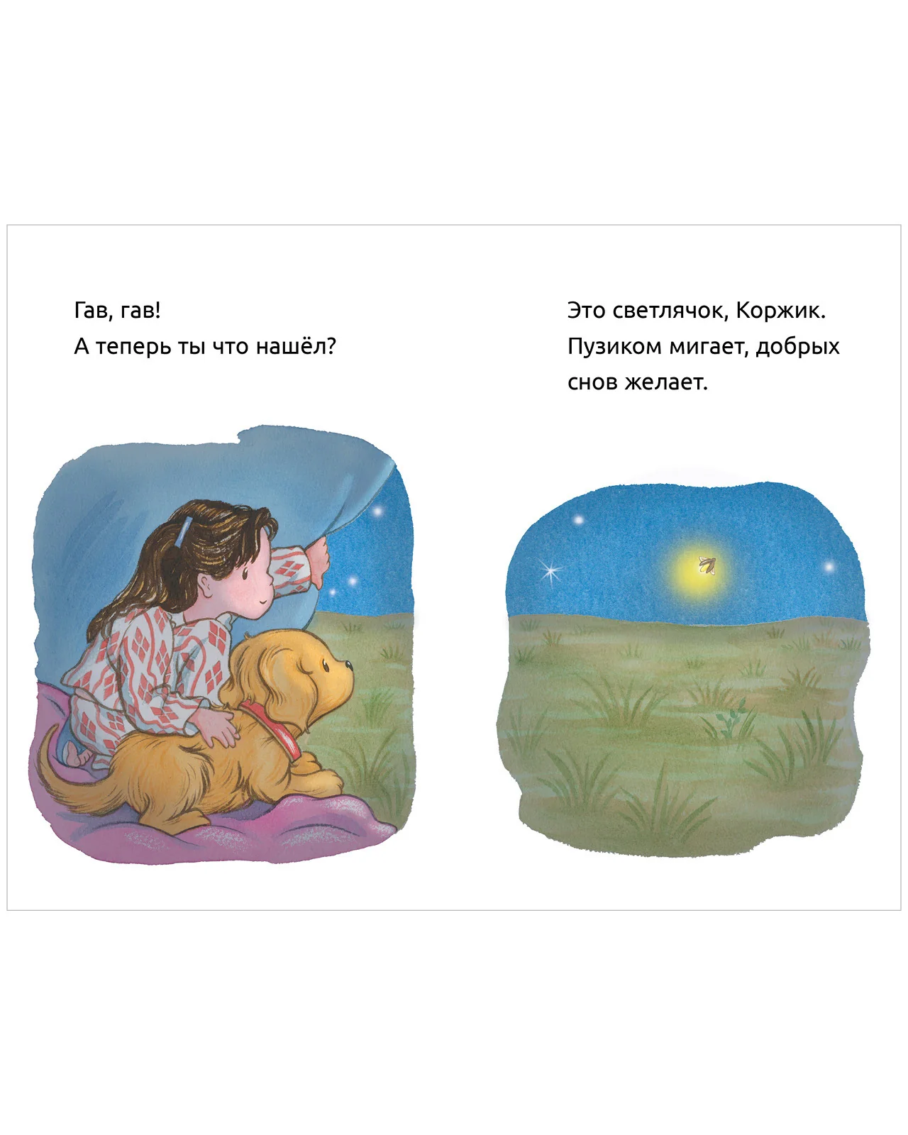 תמונת מוצר 11