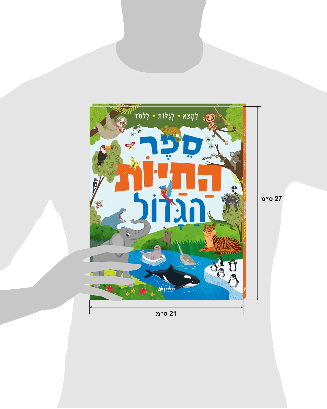 תמונת מוצר 8