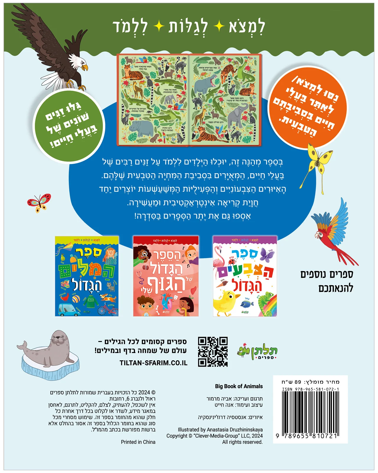 תמונת מוצר 9