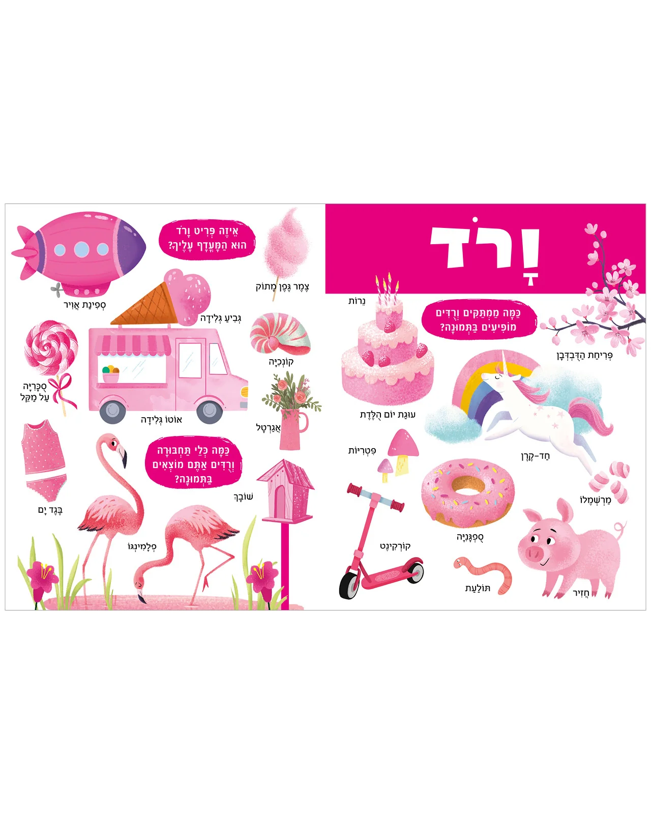 תמונת מוצר 4