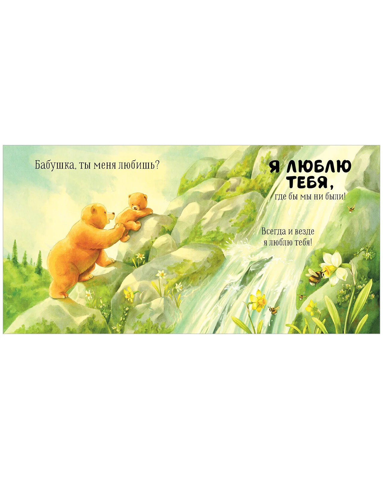 תמונת מוצר 4