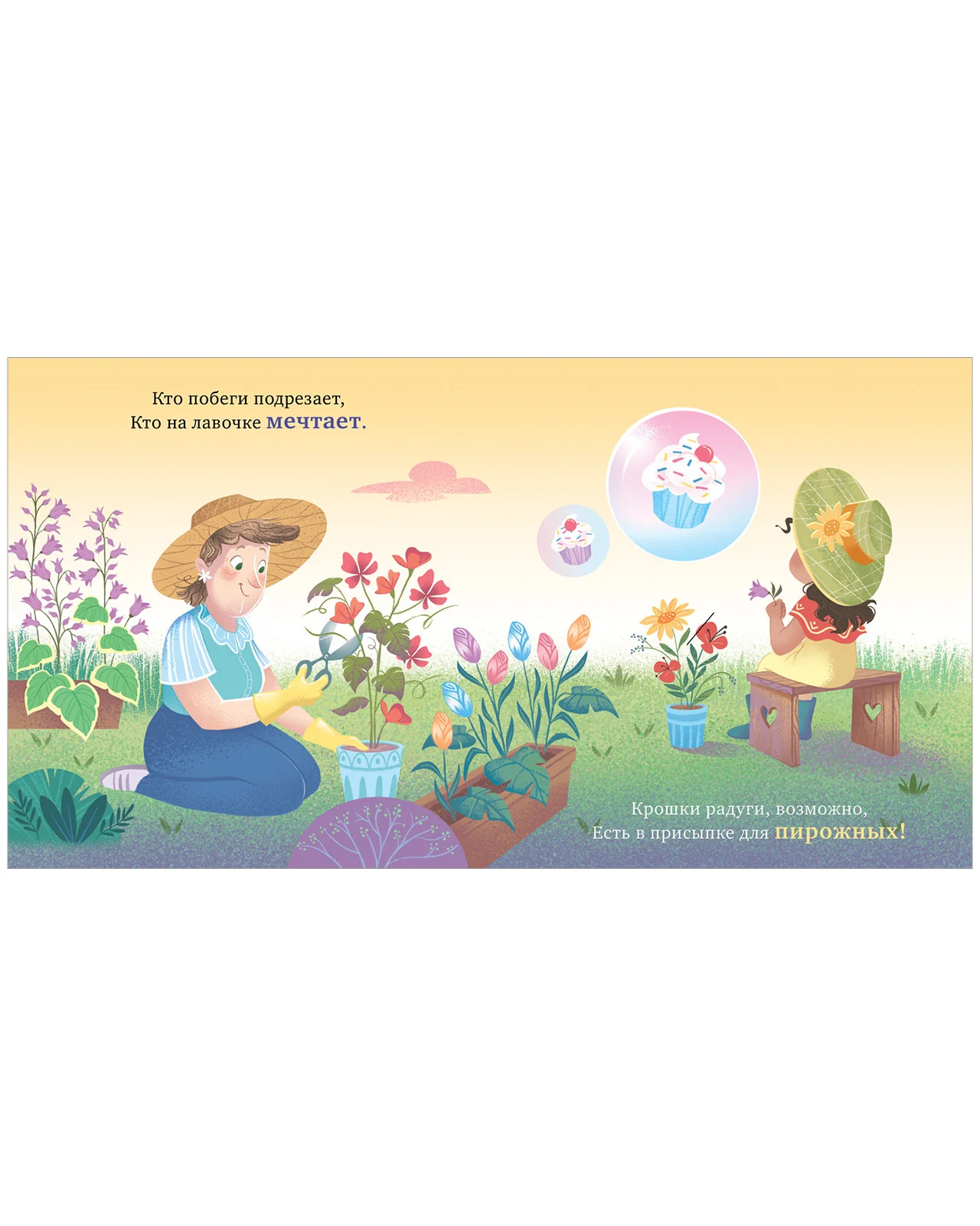 תמונת מוצר 13