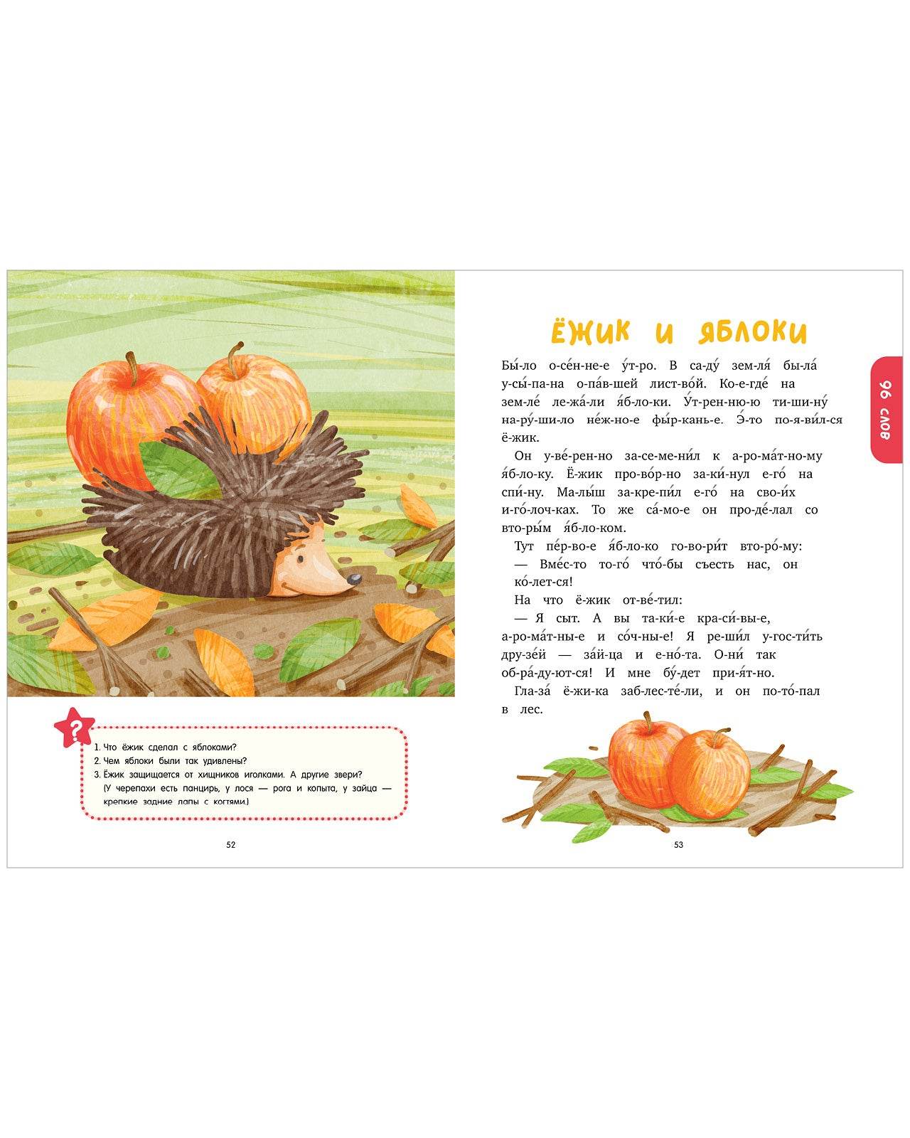 תמונת מוצר 7
