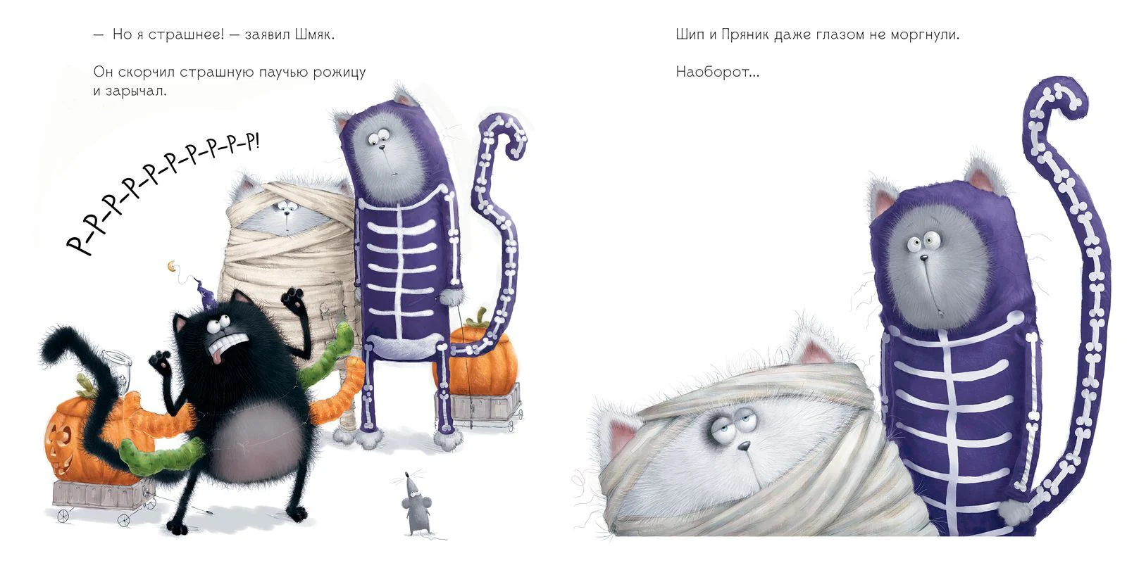 תמונת מוצר 13