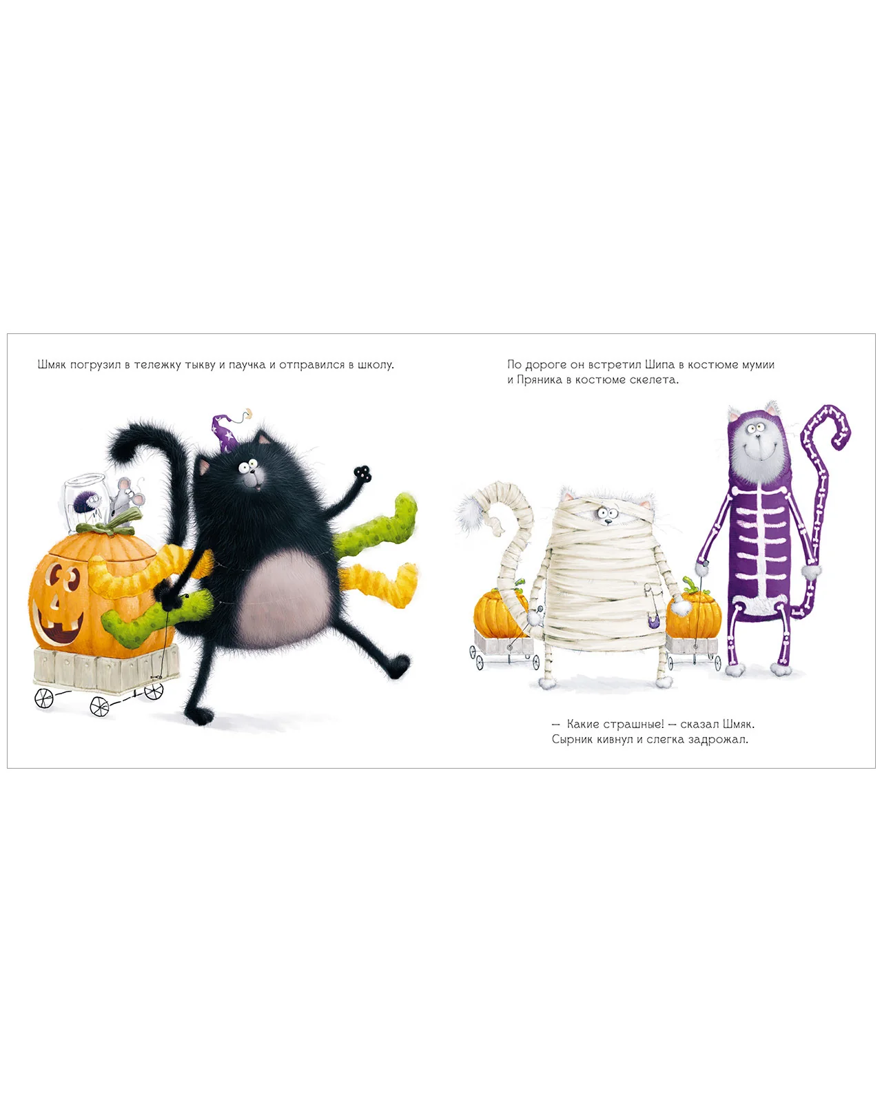 תמונת מוצר 26