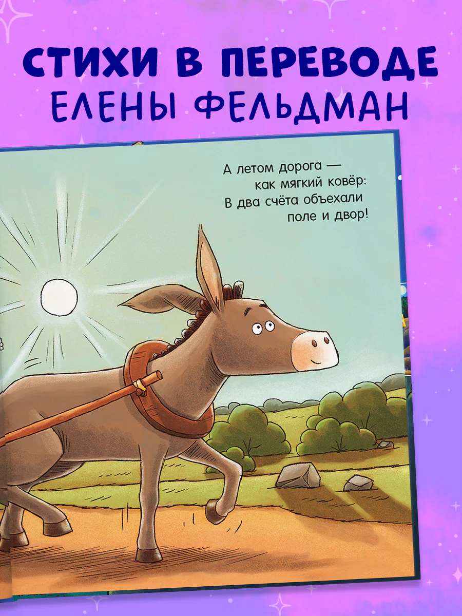 תמונת מוצר 4