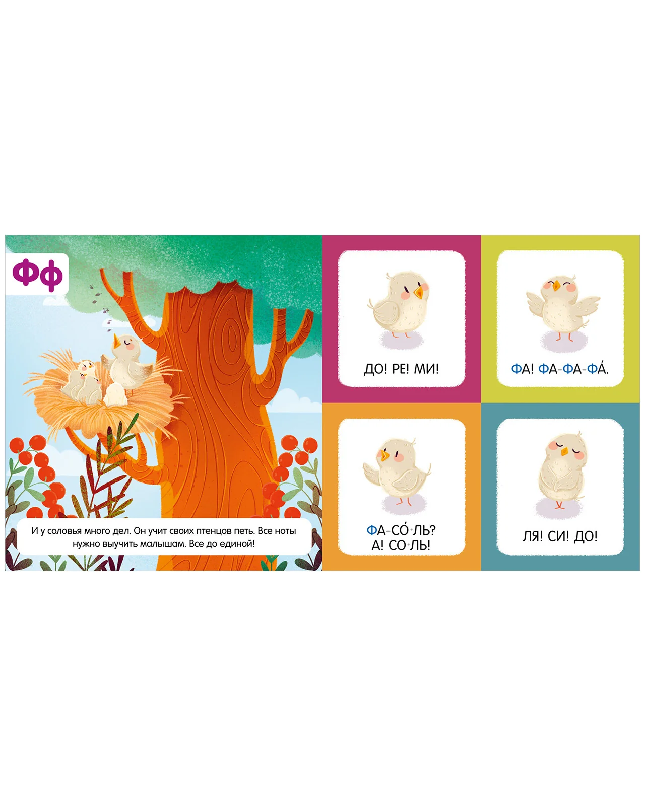 תמונת מוצר 10