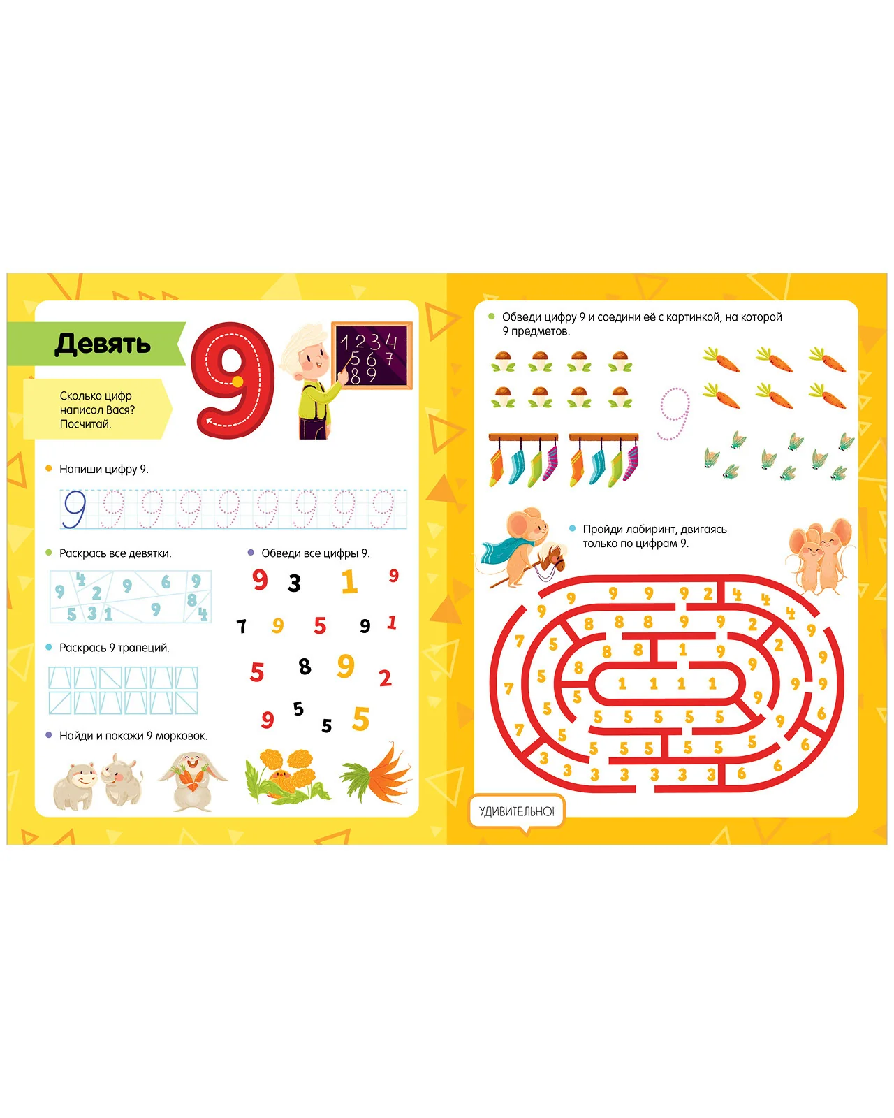 תמונת מוצר 12