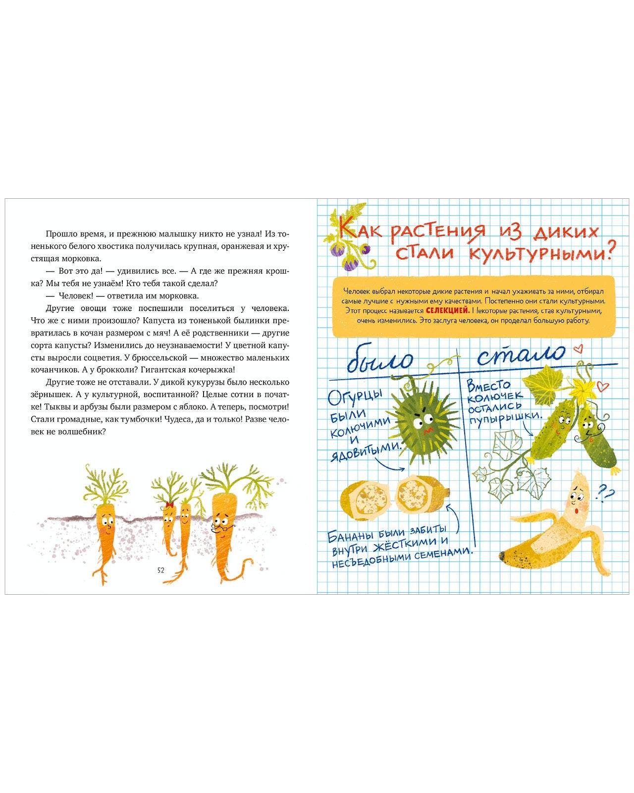 תמונת מוצר 19