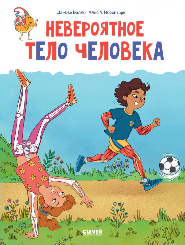 תמונת מוצר 10