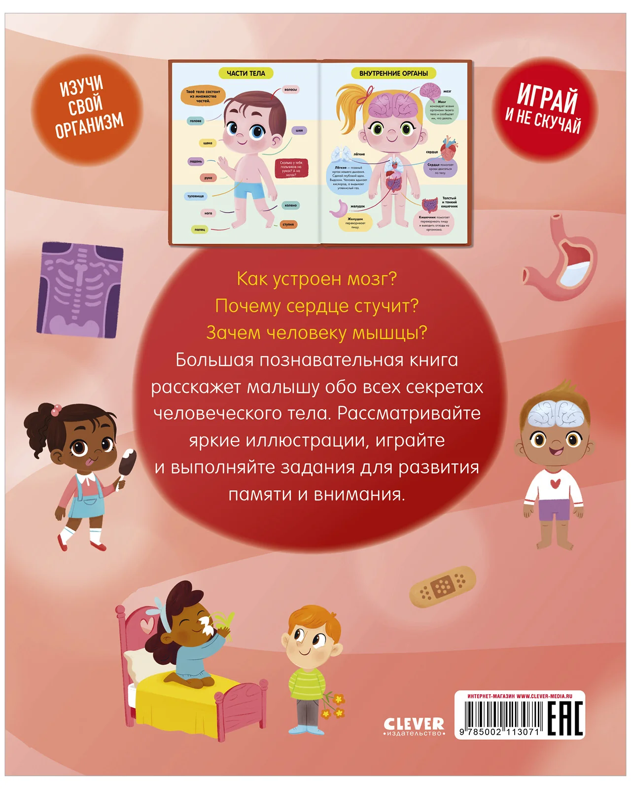 תמונת מוצר 15