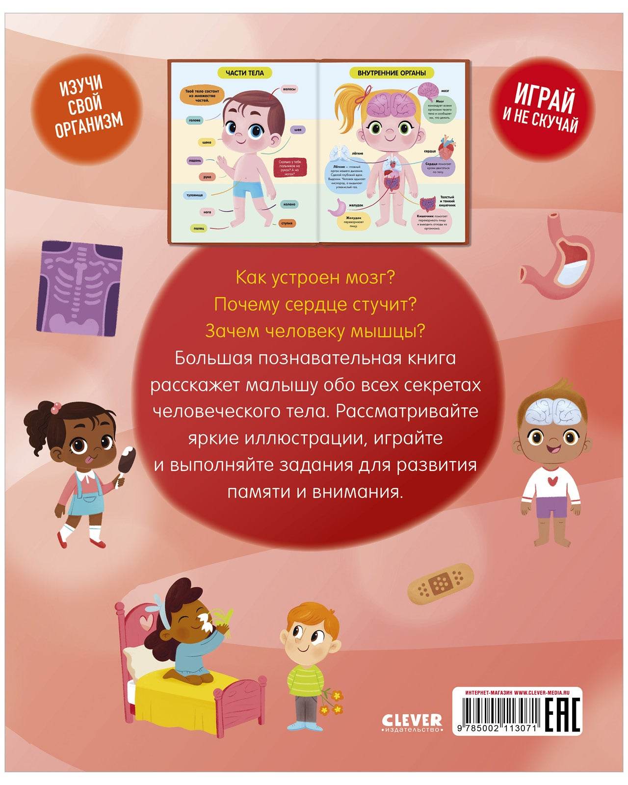תמונת מוצר 7