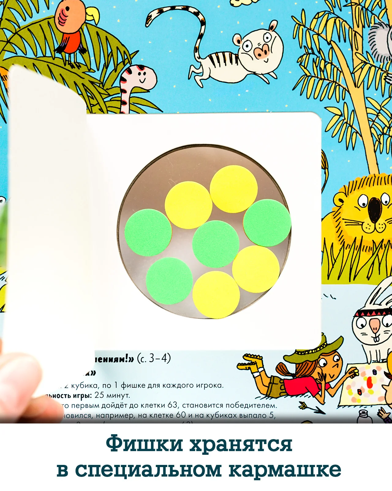 תמונת מוצר 26