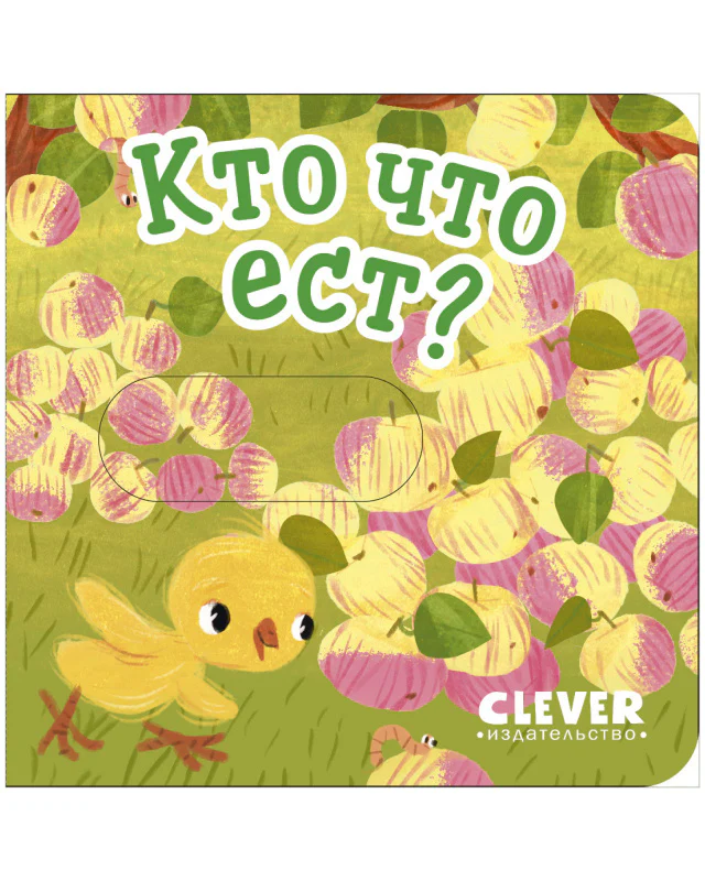 תמונת מוצר 10