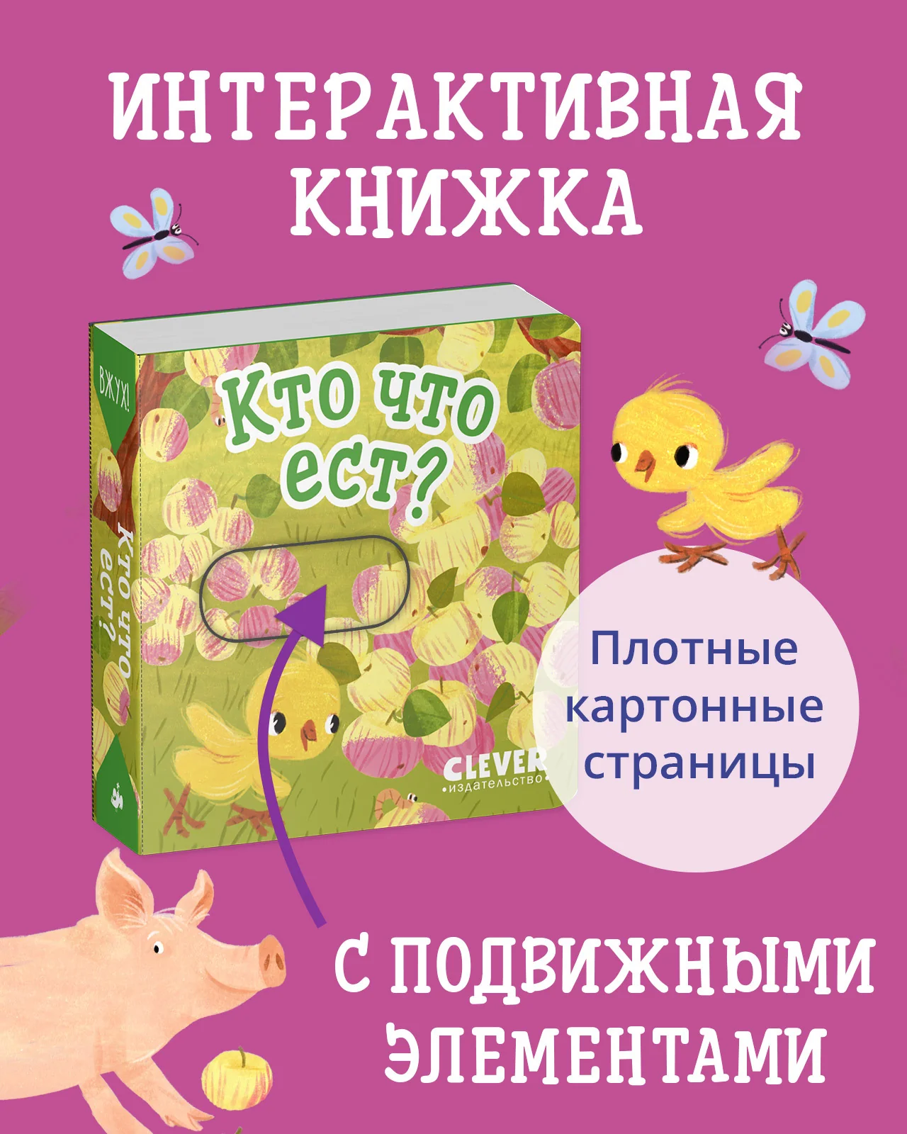 תמונת מוצר 11