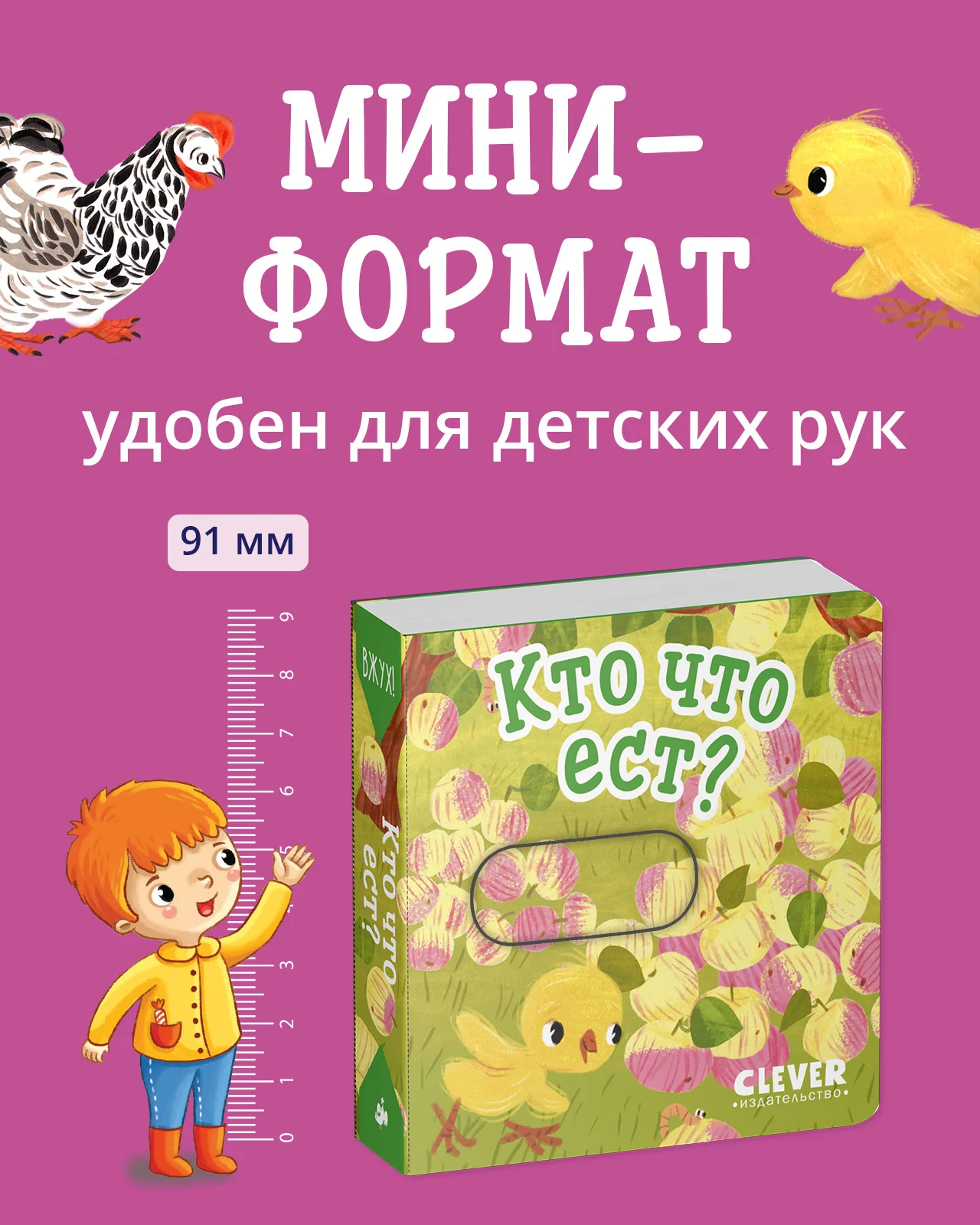 תמונת מוצר 12