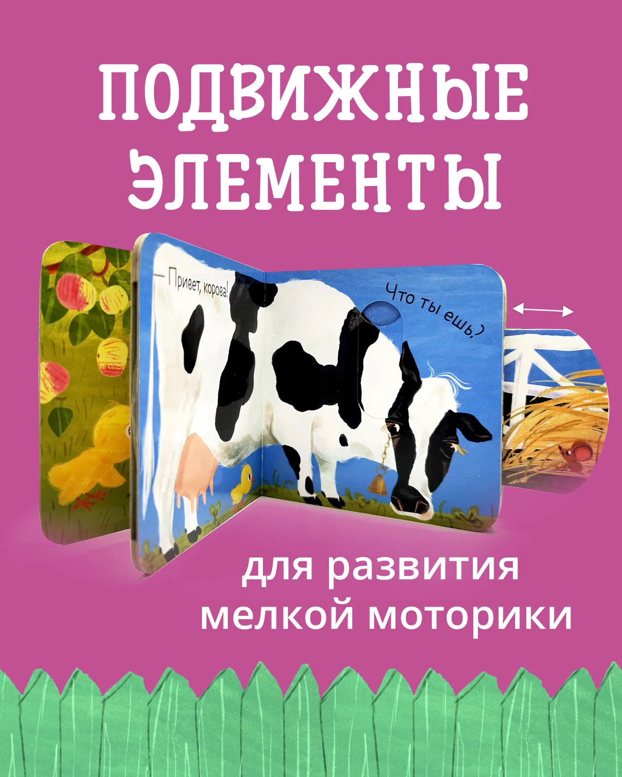 תמונת מוצר 13