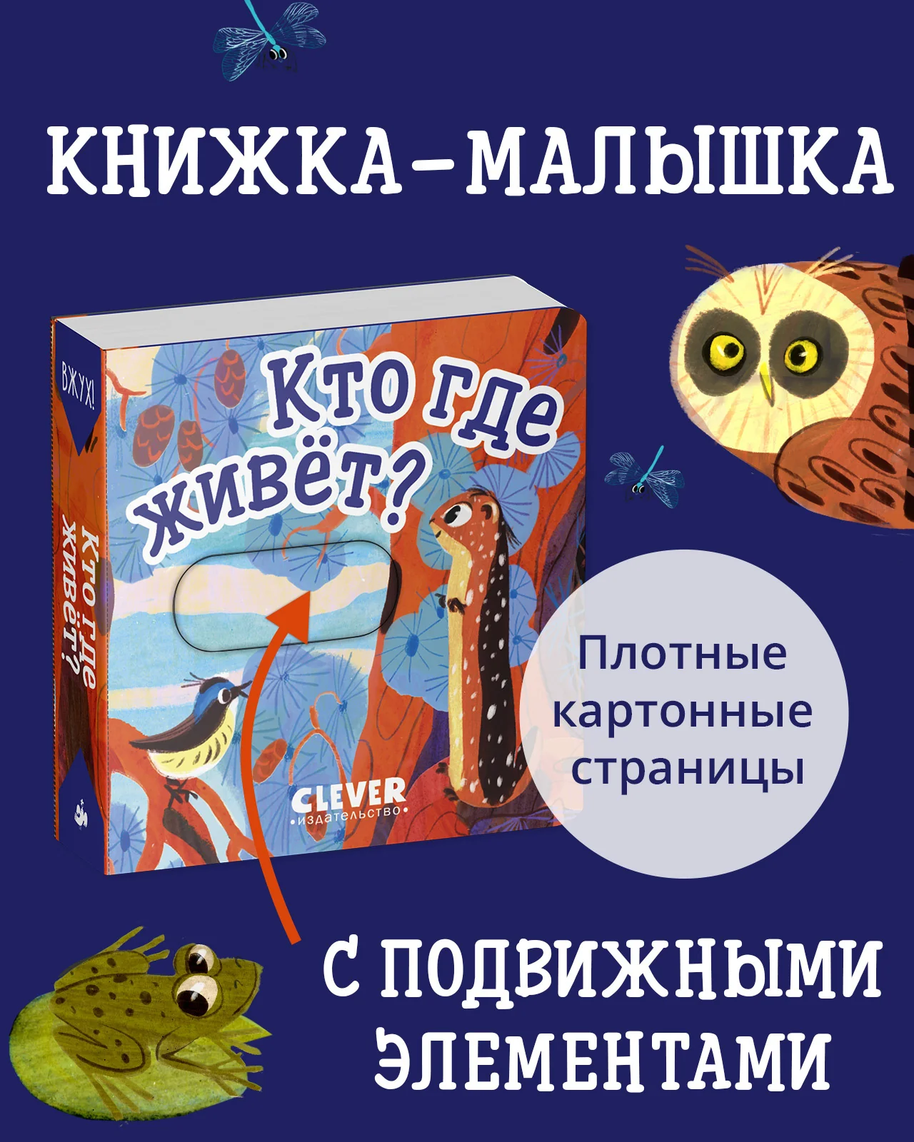 תמונת מוצר 11