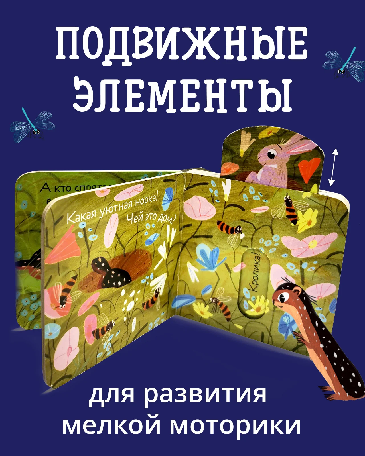 תמונת מוצר 13