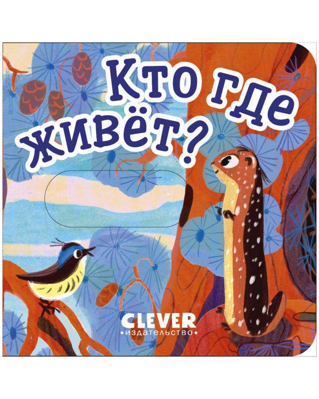 תמונת מוצר 4
