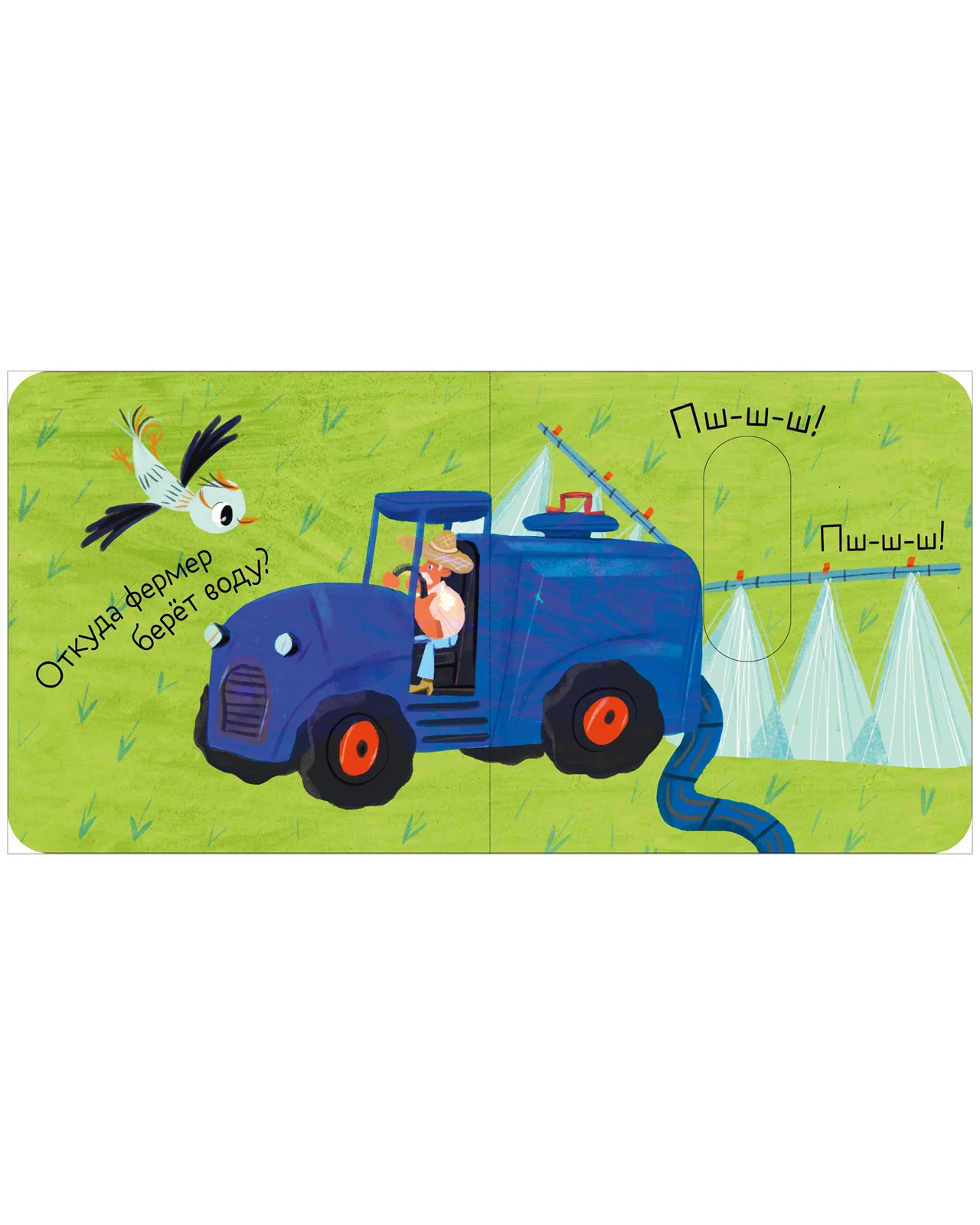 תמונת מוצר 16