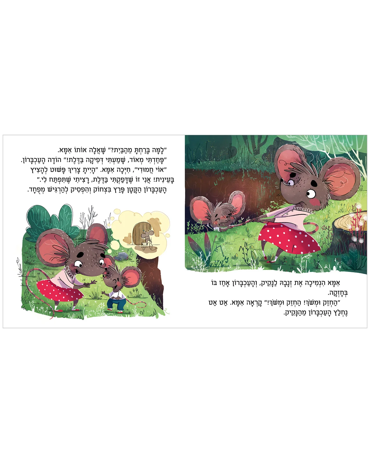 תמונת מוצר 4